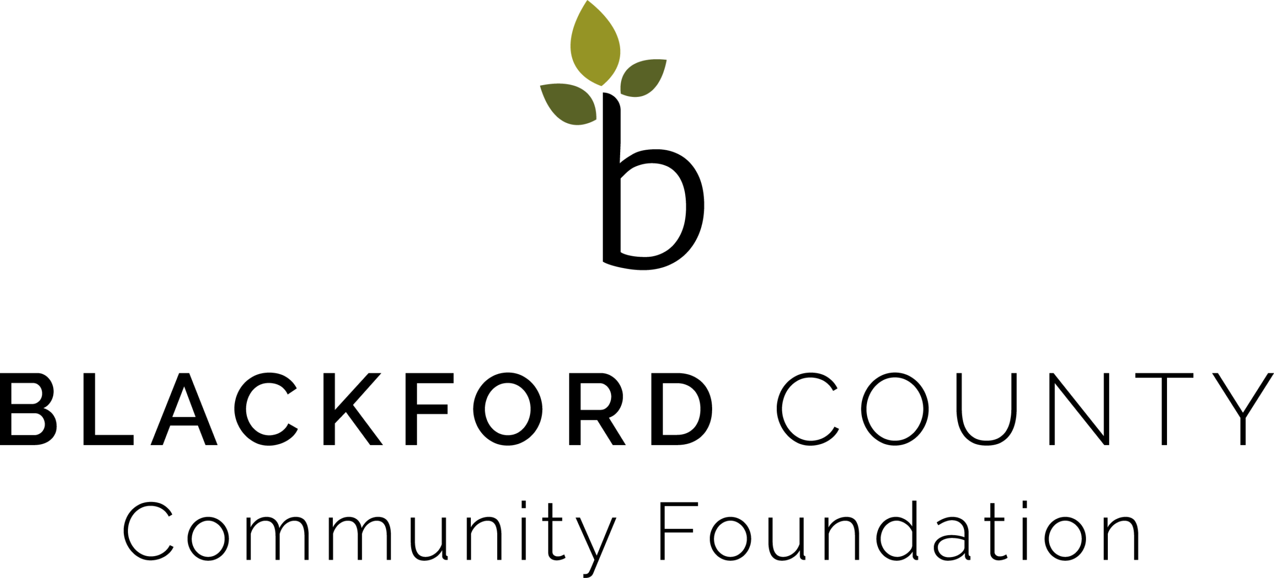 BCCF Logo
